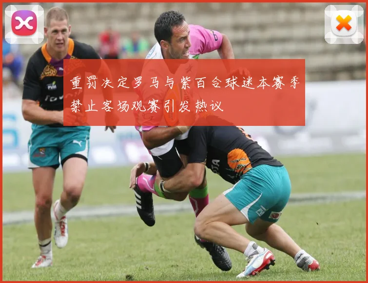 重罚决定罗马与紫百合球迷本赛季禁止客场观赛引发热议