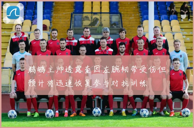 鹈鹕主帅透露奎因左腕韧带受伤但预计将迅速恢复参与对抗训练