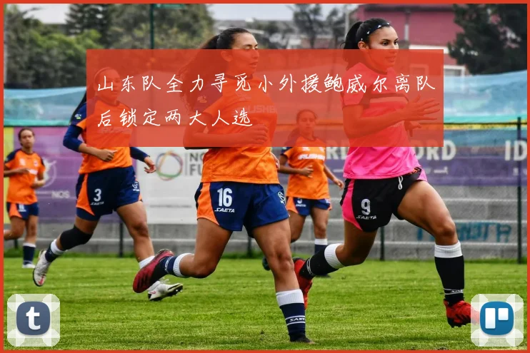 山东队全力寻觅小外援鲍威尔离队后锁定两大人选