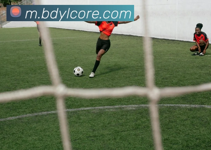 百达娱乐平台生态图